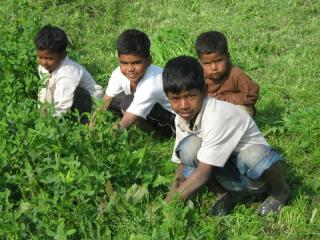 children, working in field